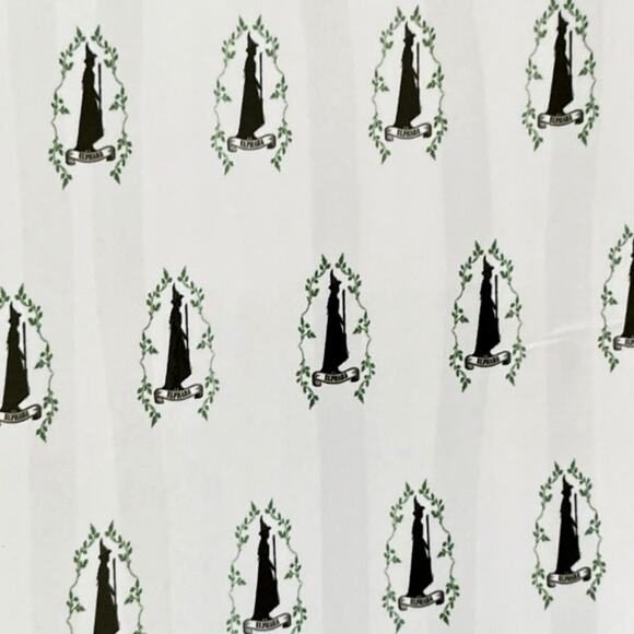 Wicked the Musical Elphaba Fabric Shower Curtain 72x72 NEW - Picture 3 of 9